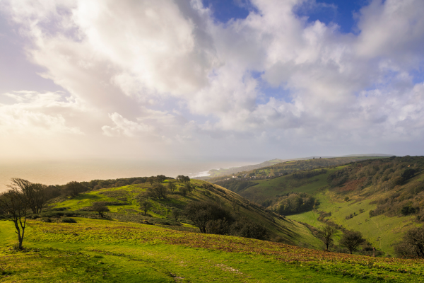 Best dog walks on the Isle of Wight (2).png