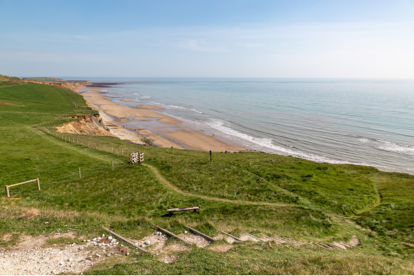 Isle of Wight fossil hunting_ a beginner’s guide.png