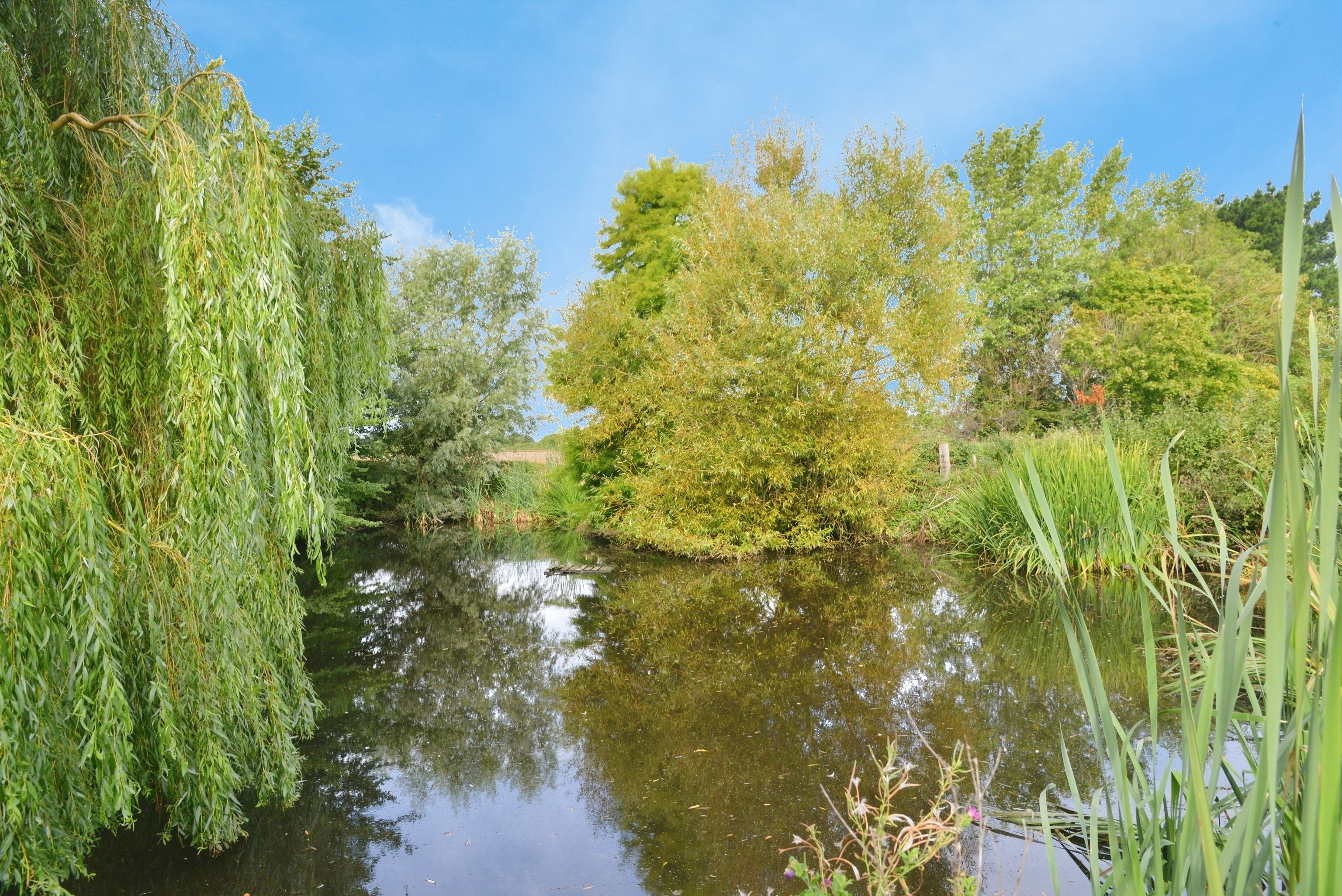 Willows - Street Place Farm, Calbourne, West Wight, United Kingdom, PO30