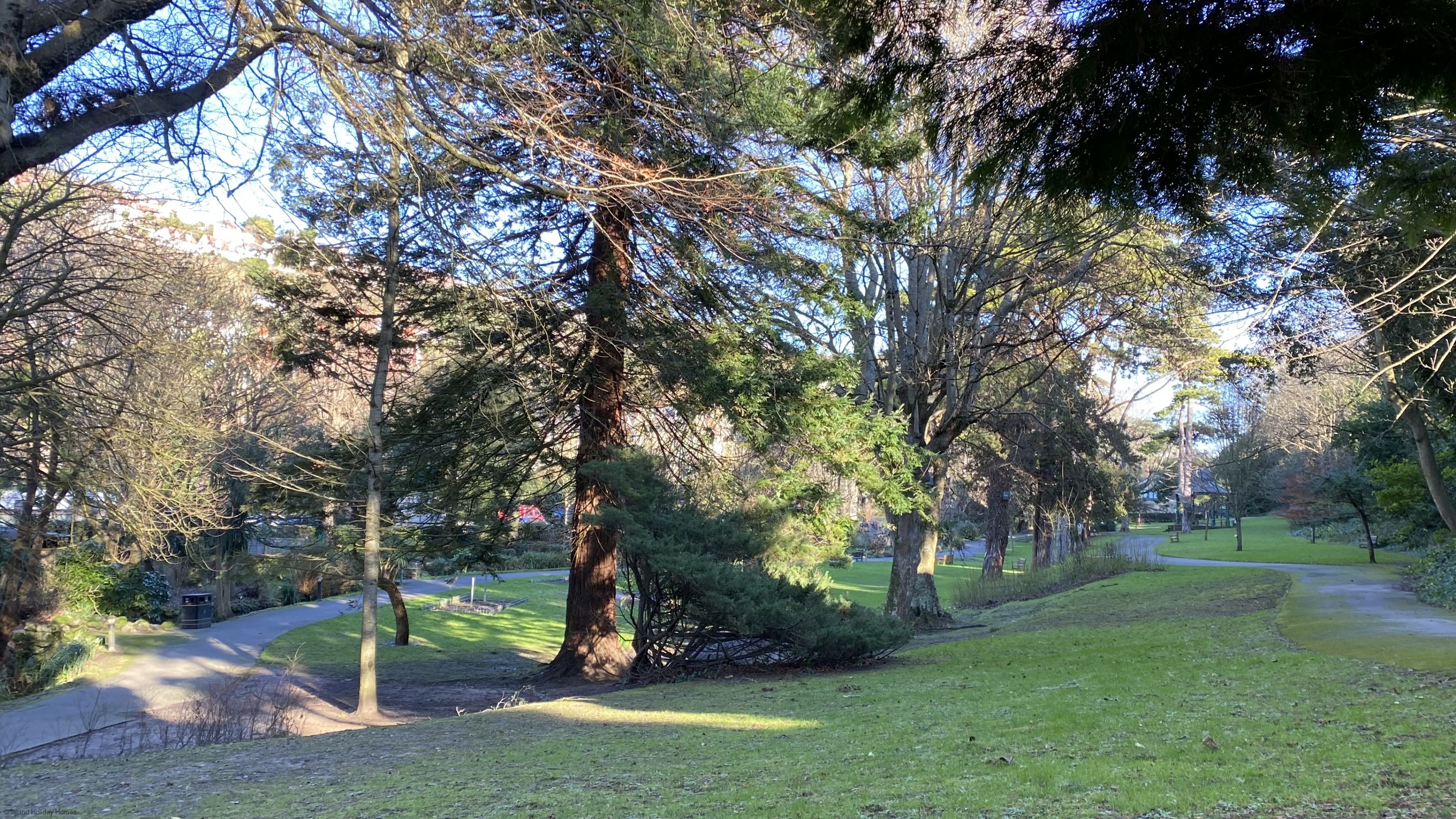 Castle Cottage - Park Avenue, Ventnor, East Wight, United Kingdom, PO38