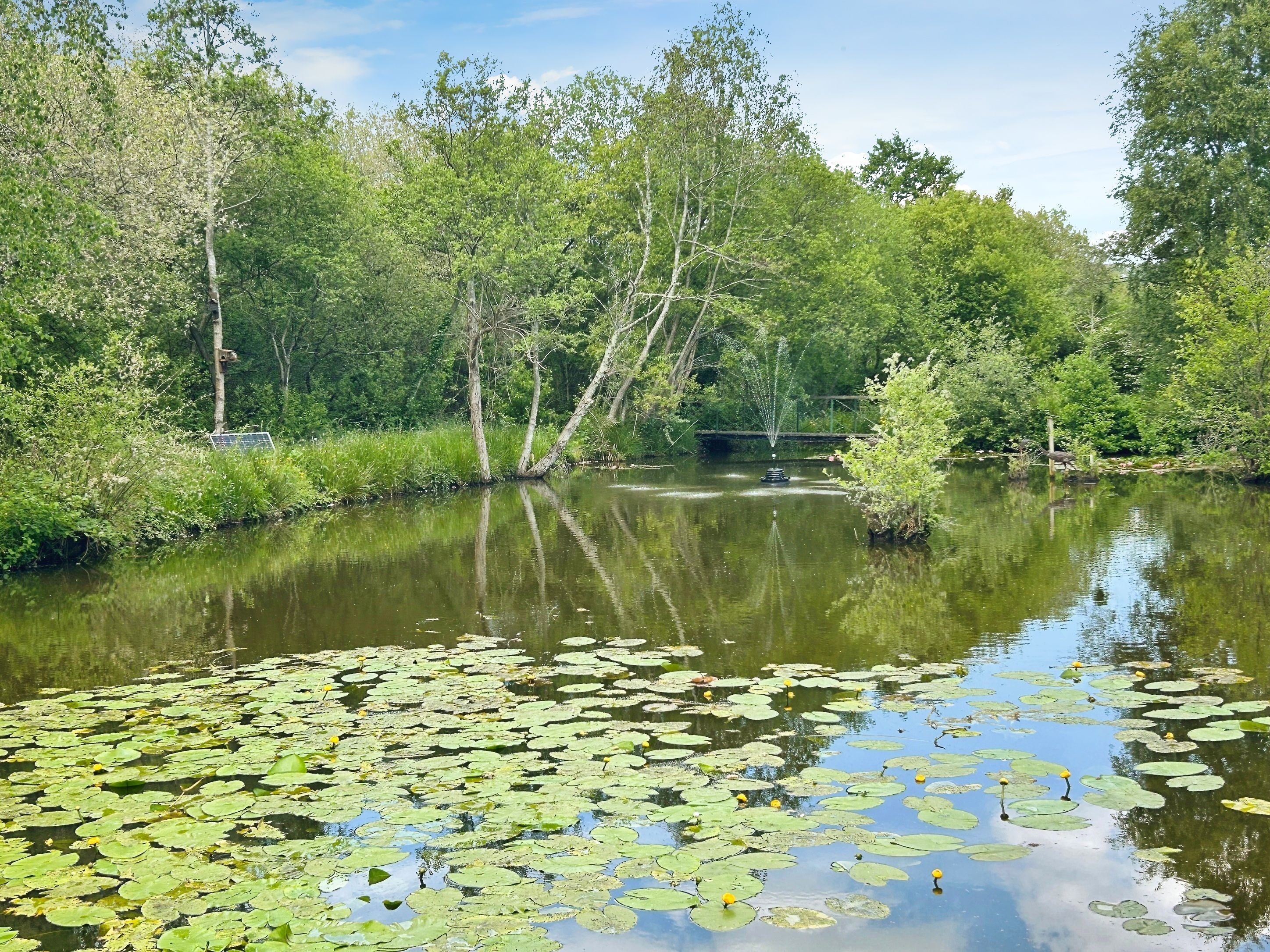 Willow End - Alverstone Ponds Corrie Bank, Alverstone, East Wight, United Kingdom, po36