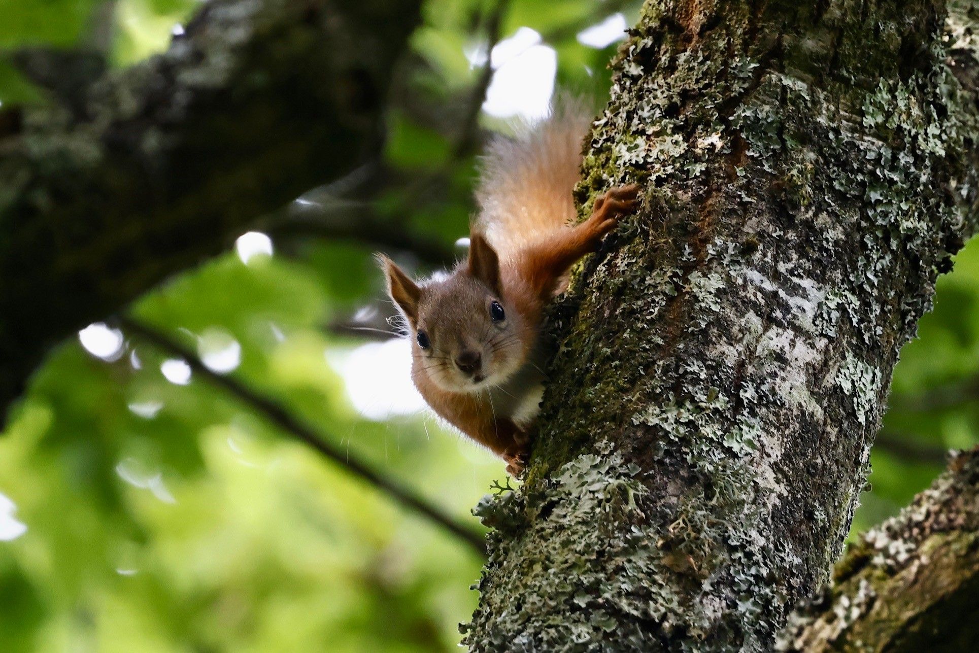 Hobbits Landing - Alverstone Ponds  Corrie Bank, Alverstone, East Wight, United Kingdom, po36